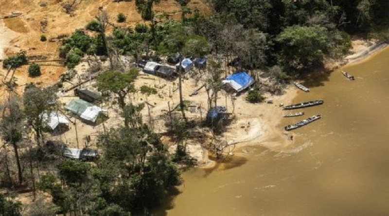 En medio de la pandemia continúa aumento de deforestación en la Amazonía brasileña