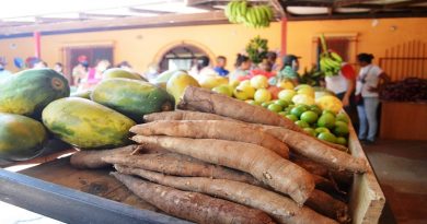 Feria Agroalimentaria en Camatagua garantiza alimentos a los aragueños