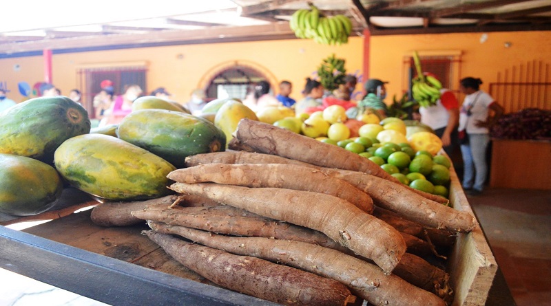 Feria Agroalimentaria en Camatagua garantiza alimentos a los aragueños