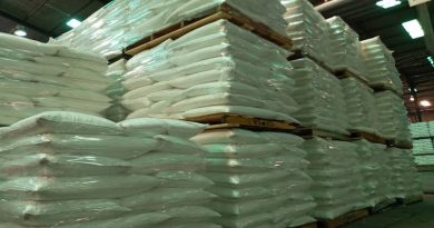 Central El Palmar produce 500 toneladas diarias de azúcar