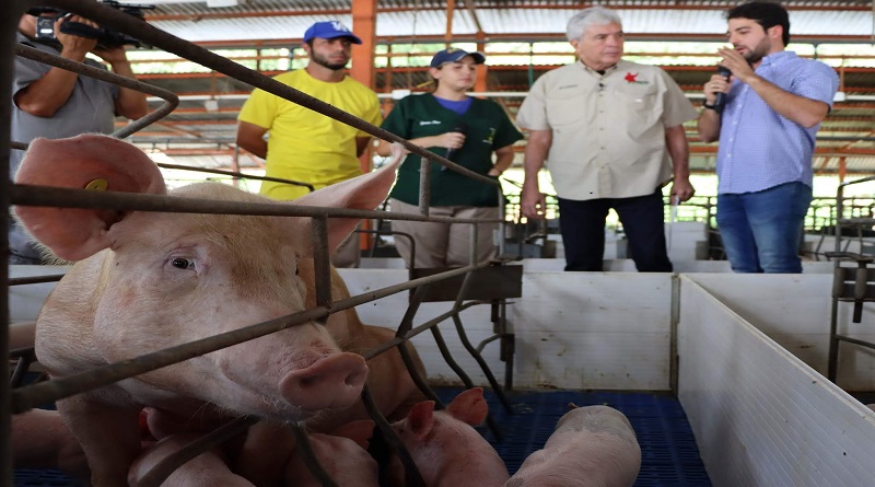 Agropecuaria El Quijote en Portuguesa produce proteína animal para el pueblo