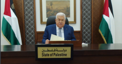 Palestina propone que asistencia humanitaria por Covid-19 incluya ayuda económica para países en vía de desarrollo