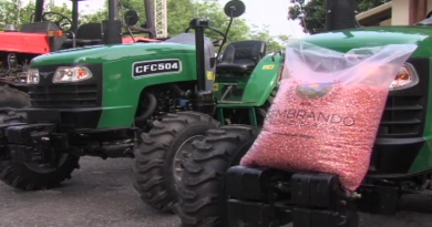PP NO PUBLICAR || Barinas sembrará más 10 mil hectáreas de maíz blanco y arroz pionero este año