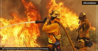 Jefe de Estado agradece a bomberos forestales en su Día por proteger y salvar reservas naturales