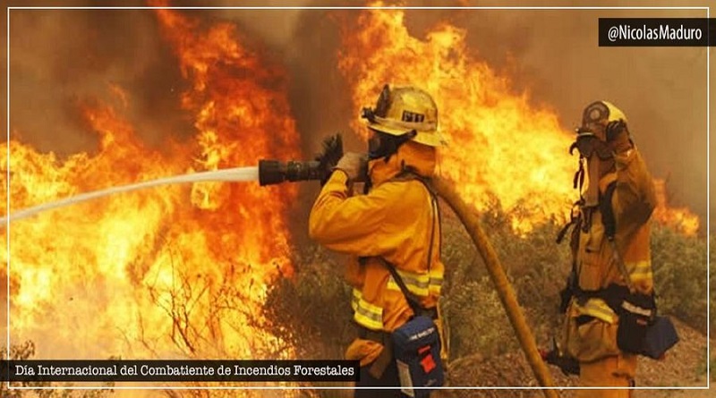 Jefe de Estado agradece a bomberos forestales en su Día por proteger y salvar reservas naturales