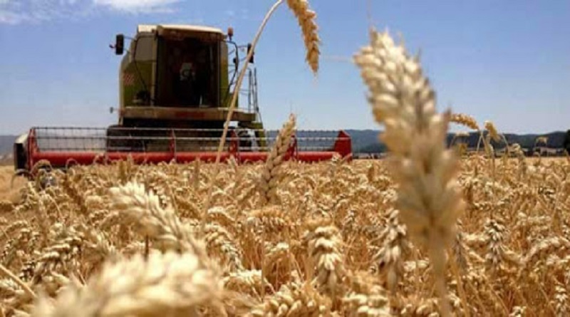 Productores recibieron insumos para siembra de cereal en Barinas