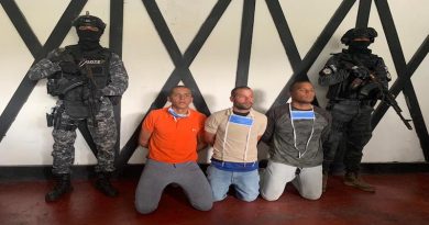 Detenidos otros tres terroristas en operativo de escudriñamiento en la Colonia Tovar