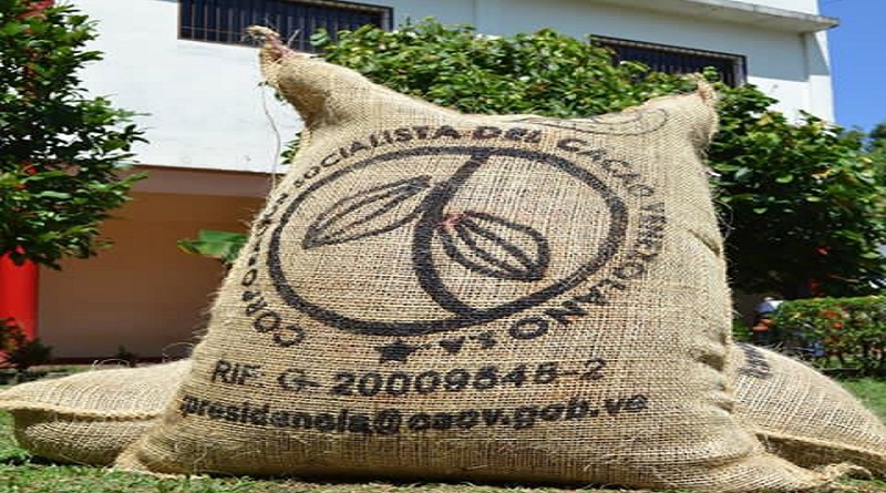 Crean Comité Científico Cacaotero en estados productores