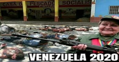 Chavistamente: Cuando existimos (Por Carola Chávez)