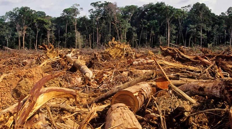 Alertas por deforestación en Amazonía registran cifras récord después que Bolsonaro desplegó el Ejército