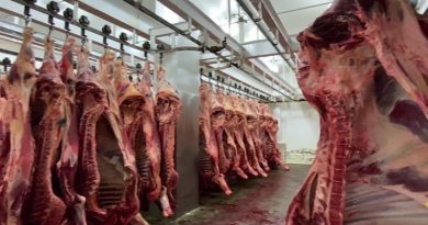 ARAGUA | Frigorífico Industrial de Turmero produce diariamente más de 40 toneladas de carne