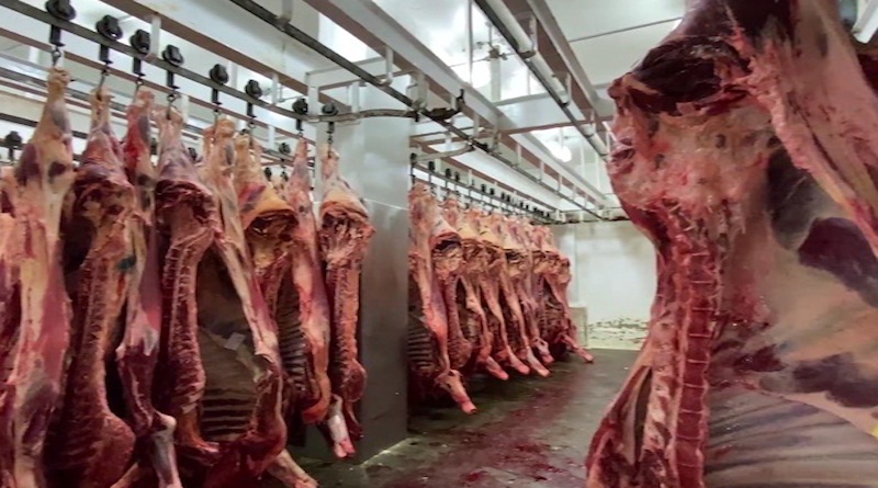 ARAGUA | Frigorífico Industrial de Turmero produce diariamente más de 40 toneladas de carne