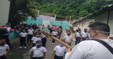 Misión Cultura transforma comunidades al son del cuatro