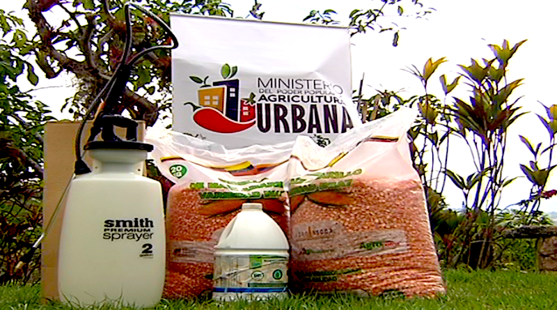 Entregan semillas de maíz amarillo a 15 unidades de producción familiar de la Comuna Agroecológica “Pioneros de El Hatillo”