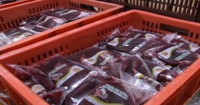 Empresa Constancia 36 de Valencia produce 2 mil toneladas de pulpa de frutas por hora