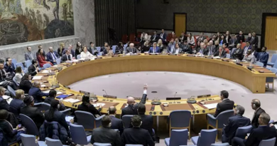 Venezuela felicita a Kenia electa como Estado miembro No Permanente del Consejo de Seguridad de Naciones Unidas