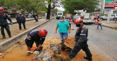 Supervisan trabajos de rehabilitación en avenida Las Delicias de Maracay