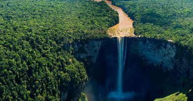 PIEDRA, PAPEL O TIJERA | Crónicas del Esequibo III por William Castillo Bollé
