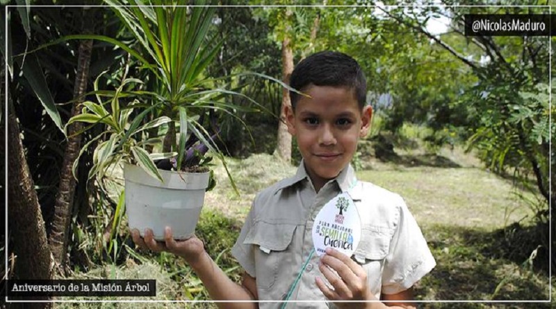 Misión Árbol celebra 14 años sembrando vida recuperando y preservando los bosques
