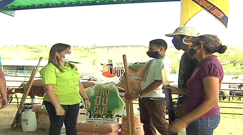Entregan 300 kilos de semillas de maíz amarillo a productores de la Comuna “Ña Placida” en Miranda