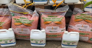 Semillas de maíz, pollos para engorde y bioinsumos reciben productores de Río Chico