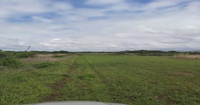 GNB localiza pista ilegal en municipio Ortiz del estado Guárico