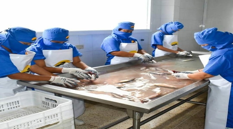 Minpesca distribuyó en una semana 582.649 kilos de proteína pesquera en 17 estados