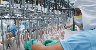 Autoridades constatan productividad en empresas de alimentos en Yaracuy