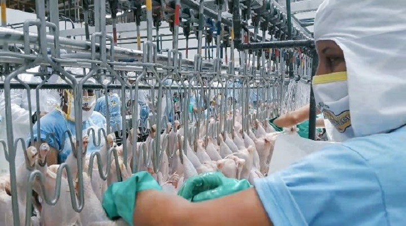 Autoridades constatan productividad en empresas de alimentos en Yaracuy