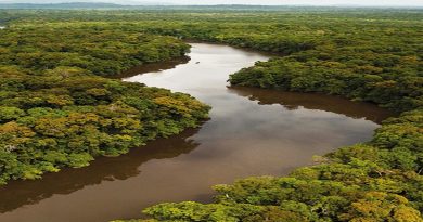PIEDRA, PAPEL O TIJERA | Crónicas del Esequibo (I)