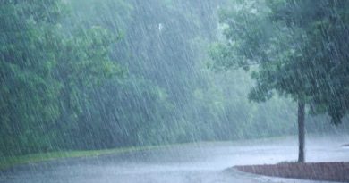 Para este jueves nubosidad y precipitaciones con descargas eléctricas en gran parte del territorio nacional