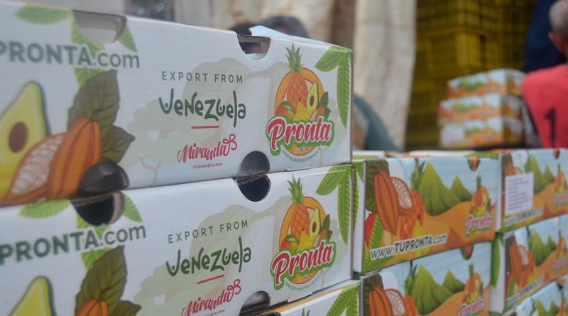 Miranda exporta 125 toneladas de mango a la República Islámica de Irán