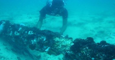 Repararán acueducto submarino de isla de Coche para mejorar servicio de agua potable