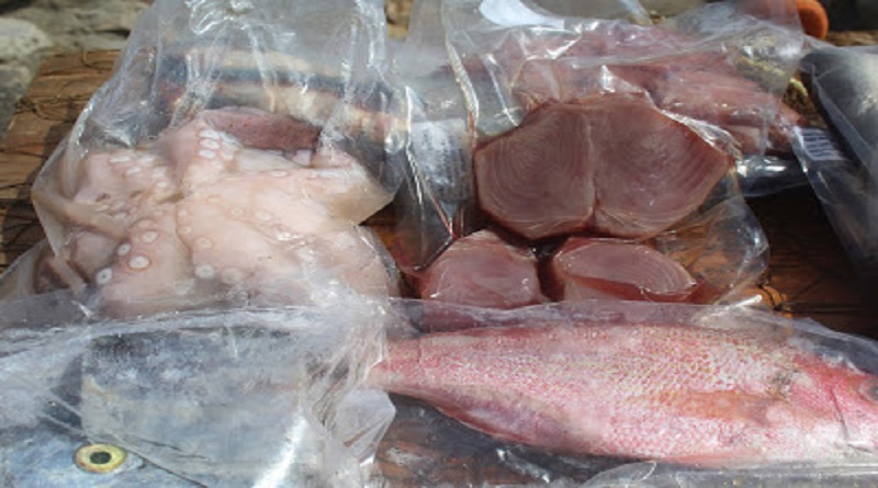 La cultura de la pesca contribuye al impulso de la Gran Misión AgroVenezuela