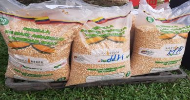 Impulsan Plan de Siembra con entrega de dos mil kilos de semilla de maíz en Trujillo