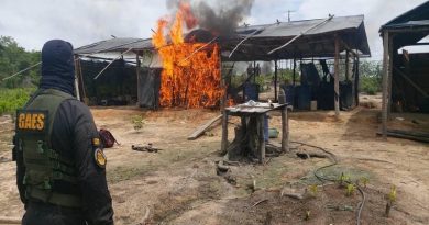 FANB desmantela dos campamento con 25 laboratorios para el procesamiento de drogas en Zulia