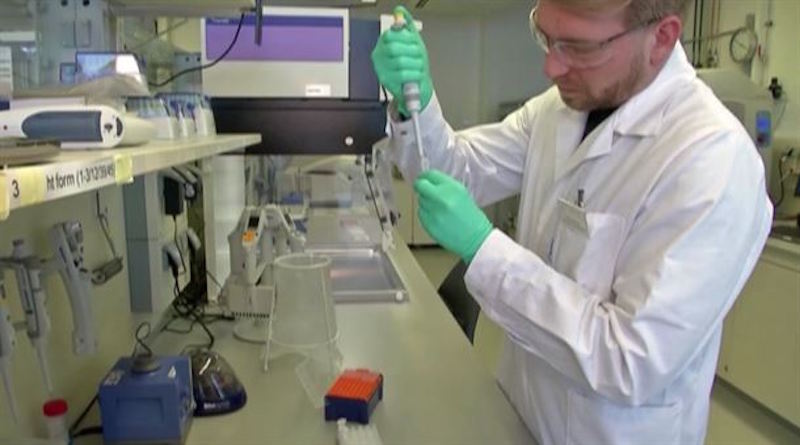 En Rusia Véctor planea poducir vacuna contra el coronavirus en noviembre