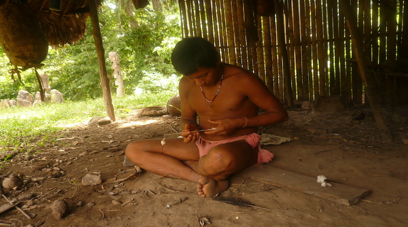 Experta del IVIC examina impacto de crisis global ambiental en pueblos originarios