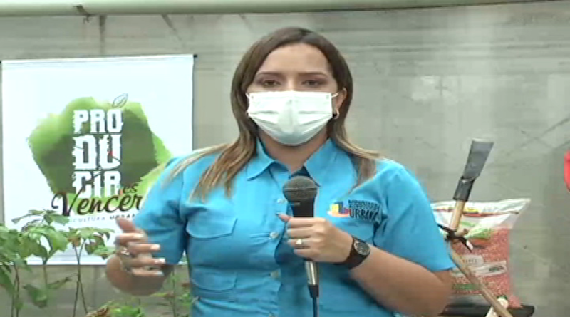 Fundación Ciara distribuye mas de 6 mil toneladas plantulas a comunas de la parroquia Mariche en Miranda