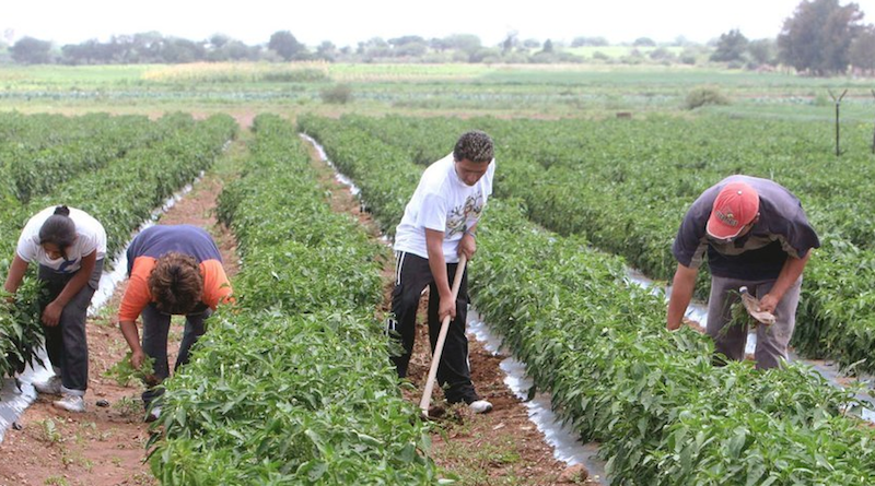 Más de 4.500 CLAP impulsarán producción local para reimpulso de la Gran Misión AgroVenezuela