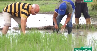Venezuela impulsa la autarquía agroalimentaria como espacios capaces de producir alimentos necesarios para la población