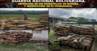 GNB recuperó 695 estantillos de madera en dos procedimientos en Barinas y Portuguesa