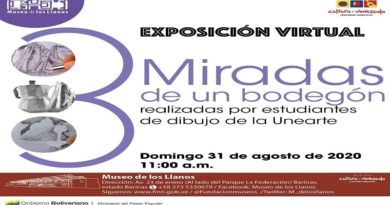 Este 31 de agosto el Museo de los Llanos presentará la exposición virtual "Tres Miradas"