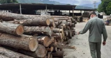 GNB recupera más de un metro cúbico de madera en rola en Barinas
