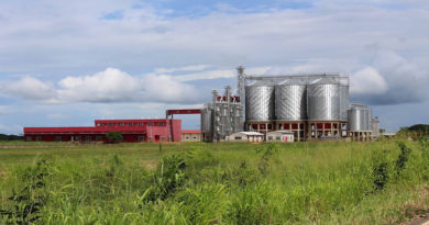 En los próximos días entrará funcionamiento Planta Procesadora de Arroz en el municipio Esteros de Camaguán