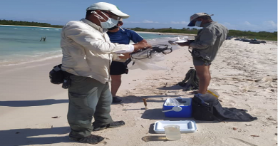 Estudio del IVIC arroja que zona del Parque Nacional Morrocoy afectada por derrame de crudo es de 1%