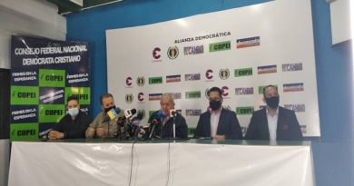 Alianza Democrática ratifica disposición de respetar la Constitución y de participar el 6D pese a presiones imperiales