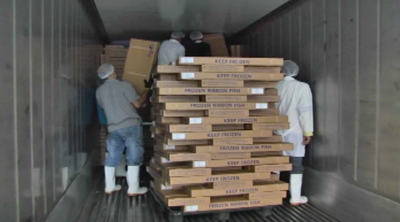 Venezuela ha exportado más de 40 mil toneladas de especies marinas en lo que va de 2020