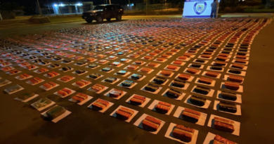 Incautación droga pnb