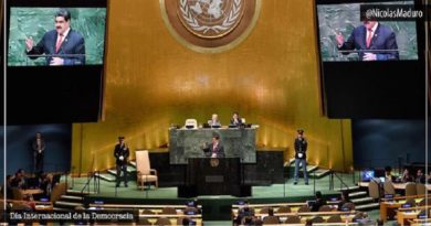 En el Día de la Democracia Venezuela se consolida en una profunda participación protagónica